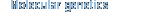 Molecular genetics