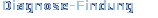 Diagnose-Findung