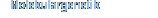 Molekulargenetik