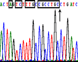 download Mineral Scale Formation and Inhibition